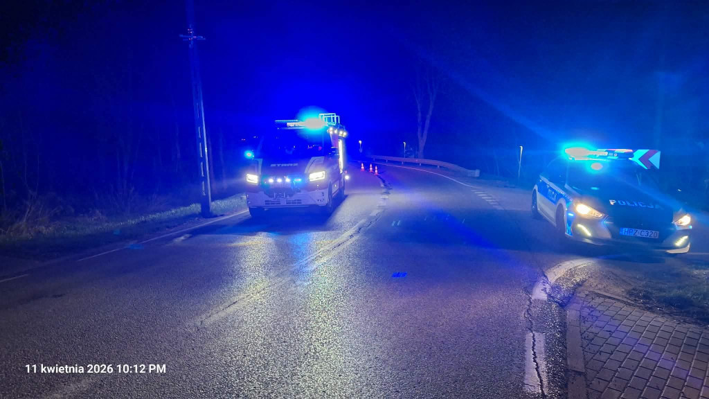 Janówek Pierwszy: Audi staranowało ogrodzenie