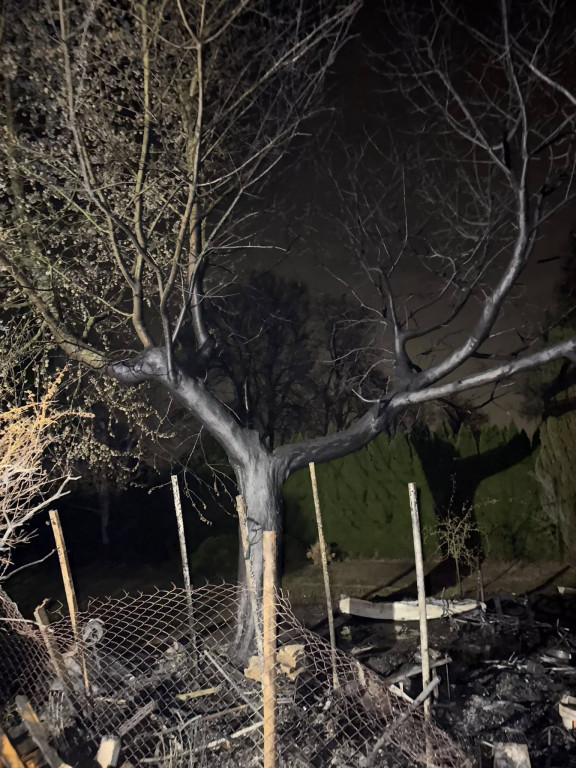 Pięć zastępów straży gasiło pożar na działkach w Cuplu