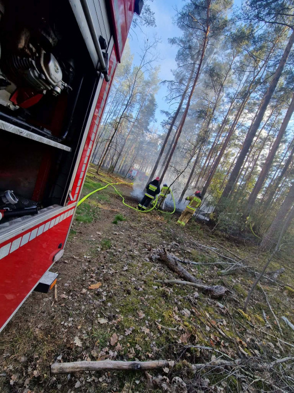 Sucho w lasach, rośnie liczba pożarów