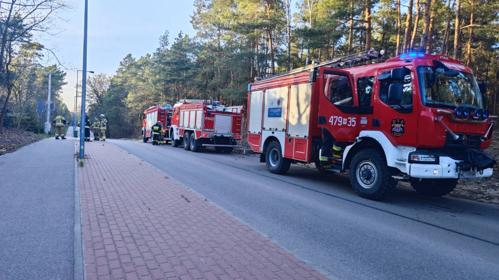 Sucho w lasach, rośnie liczba pożarów
