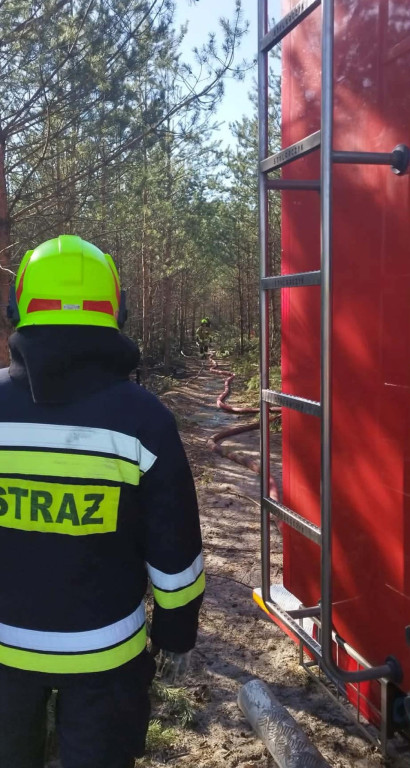 Sucho w lasach, rośnie liczba pożarów