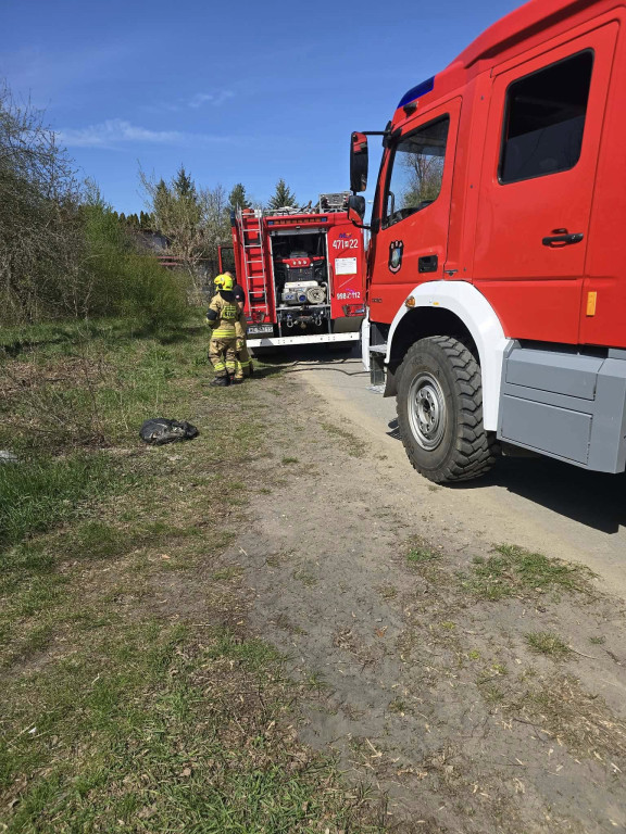 Sucho w lasach, rośnie liczba pożarów