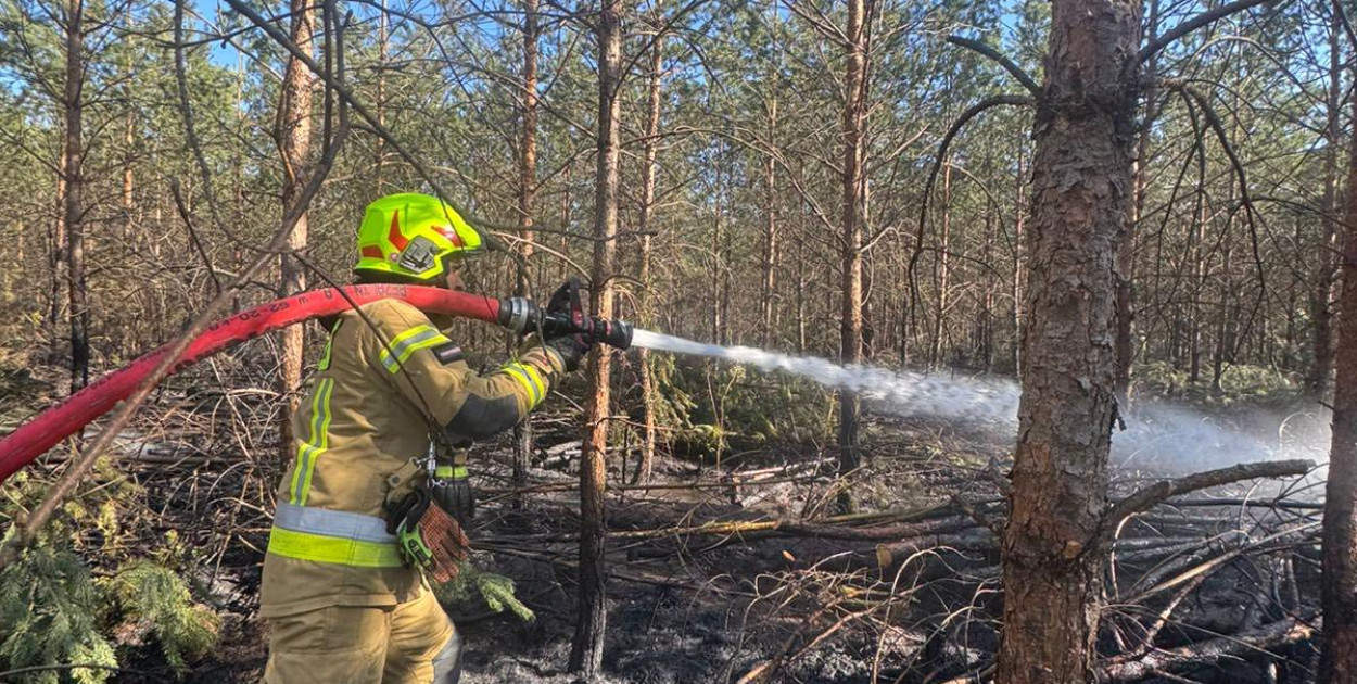 Sucho w lasach, rośnie liczba pożarów