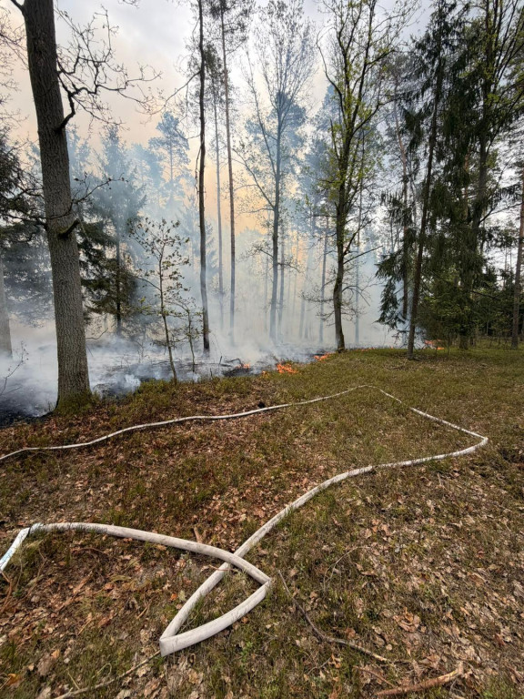 Siedem godzin walki z pożarem lasu w Czarnej Strudze