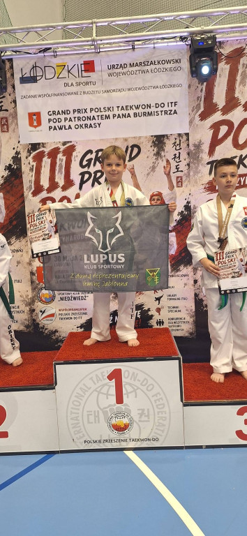 Sukces naszych taekwondzistów w Wieluniu