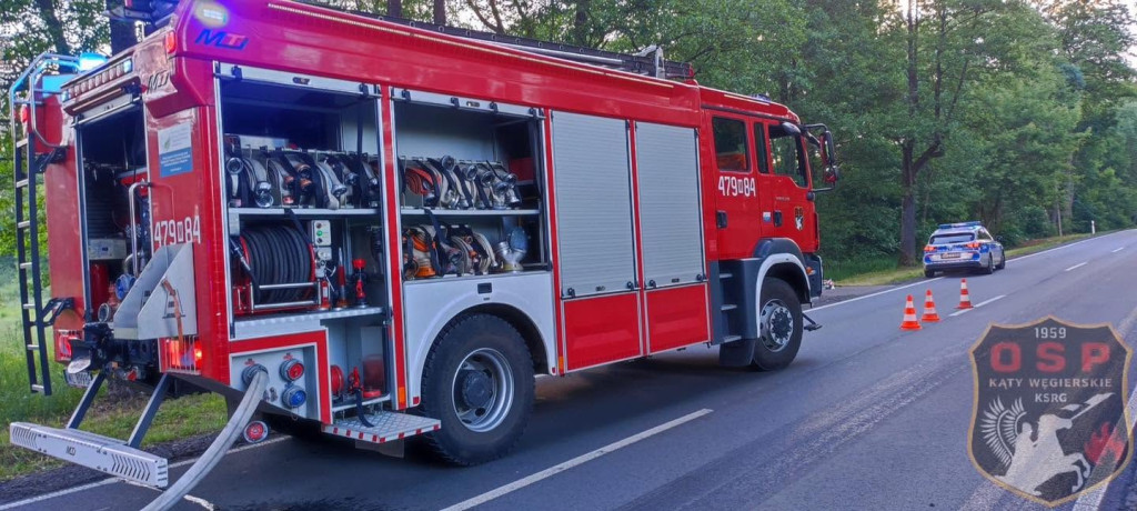 Na DW632 strażacy gasili płonące audi