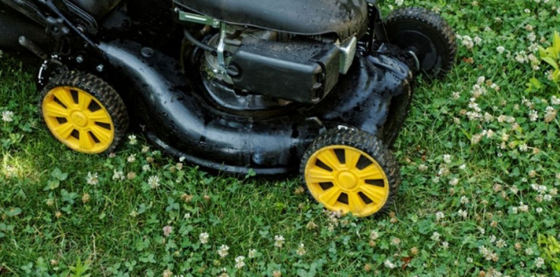 Nożyce, kosiarka, a może kosa? Zobacz, czym podcinać trawę