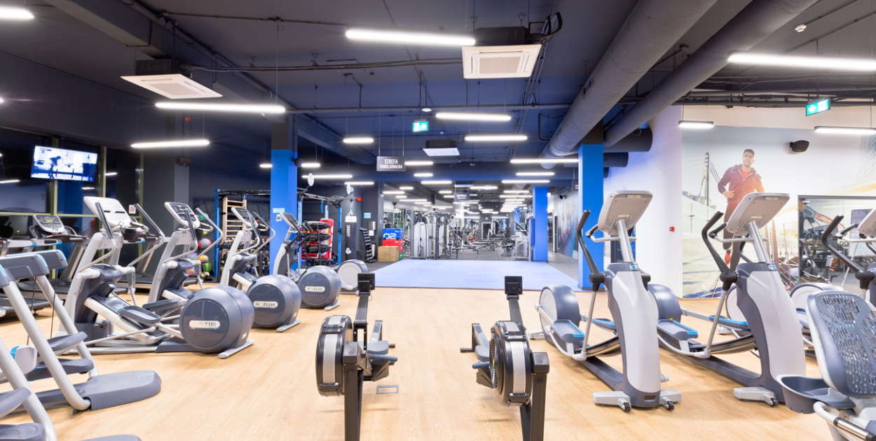 Fot. materiał partnera