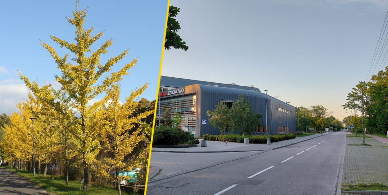 Legionowo: Nowe rośliny przyozdobią teren przy Arenie