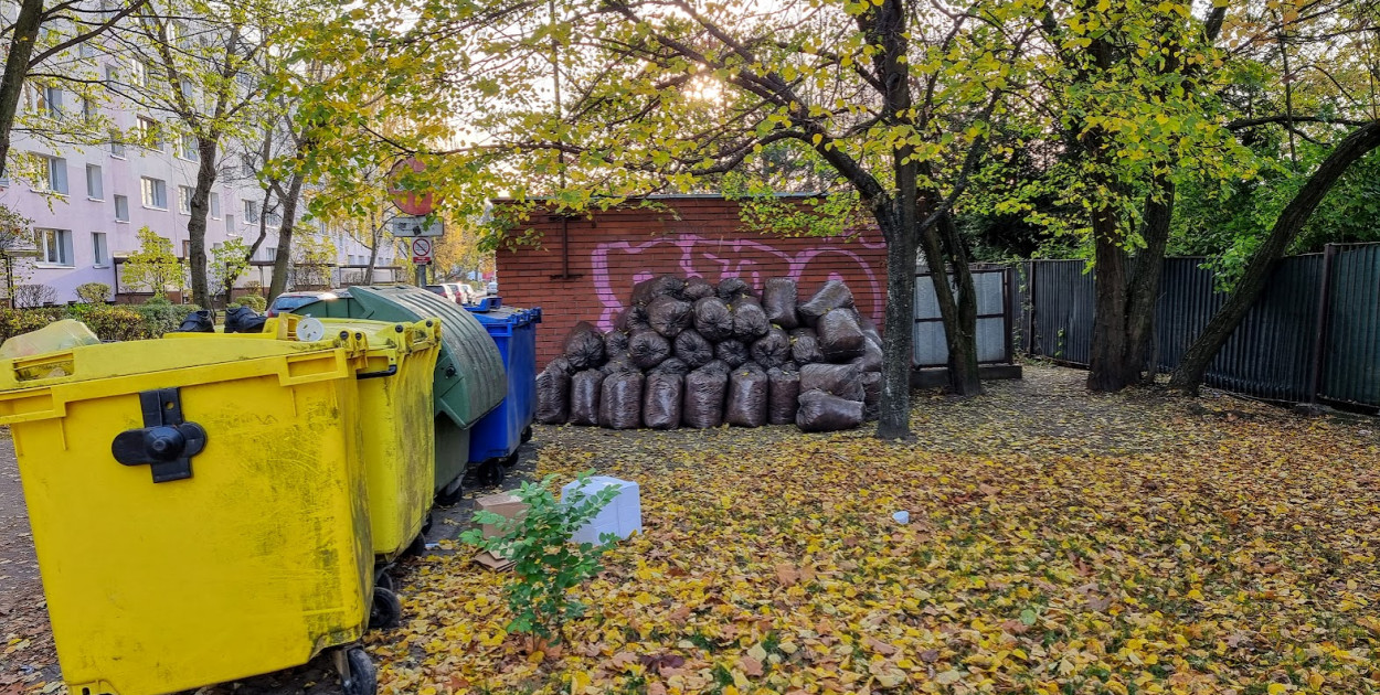 Liście spakowane w workach. Fot. Legio24.pl