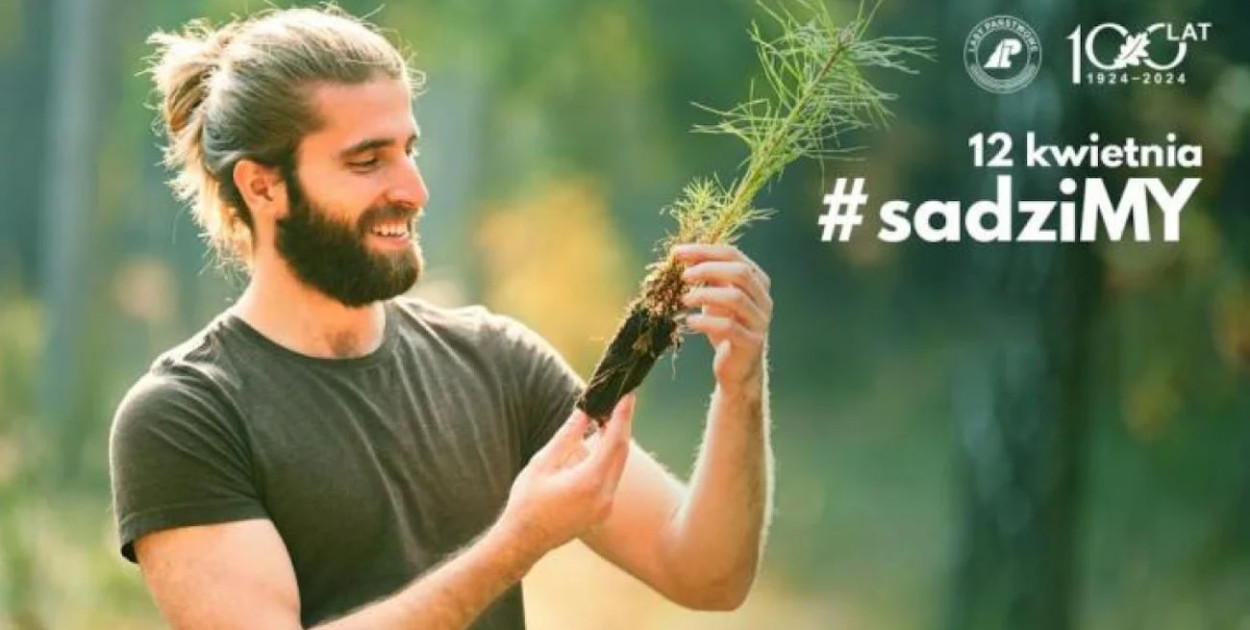 Nadleśnictwo Jabłonna rozda sadzonki drzew