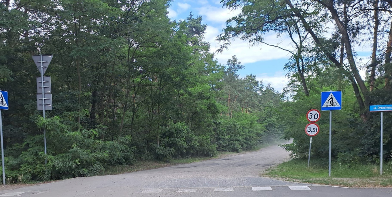 Legionowo, Wieliszew: Aleja Róż do przebudowy?