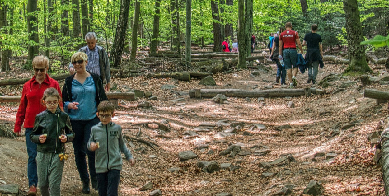  Lasy Legionowskie i Lasy Chotomowskie z większą ochroną? Są duże szanse