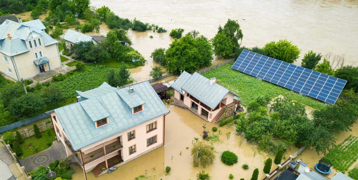 Fot. materiał partnera