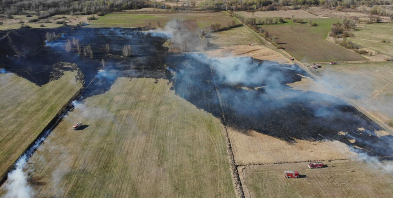 Potężny pożar traw w Górze. Fot. KP PSP Legionowo