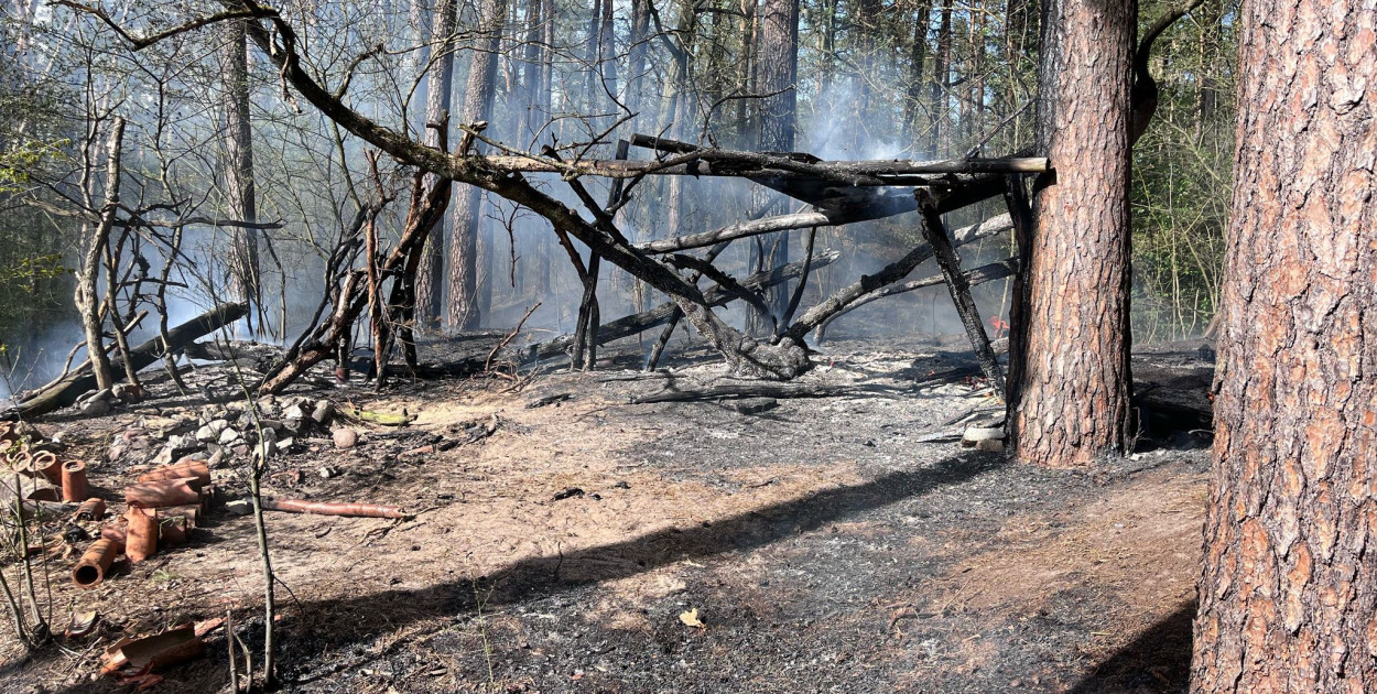 Pożar lasu w Białobrzegach. Fot. KP PSP Legionowo