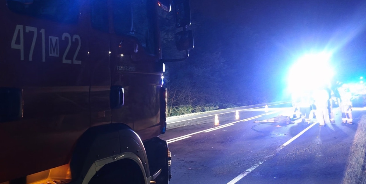 Zderzenie osobówki z łosiem na DW630 w Rajszewie. Fot. KP PSP Legionowo
