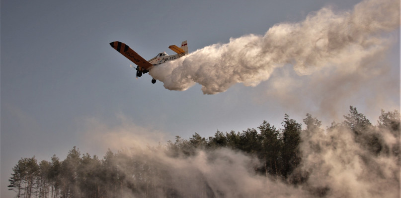 Samolot Lasów Państwowych gasi pożar lasu. Zdjęcie poglądowe - fot. Lasy Państwowe
