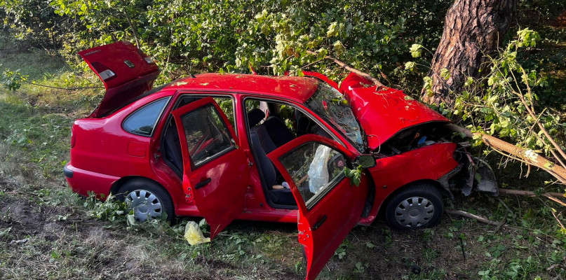 Wypadek pomiędzy Nieporętem a Wólką Radzymińską na DW631. Fot. fb / KP PSP Legionowo