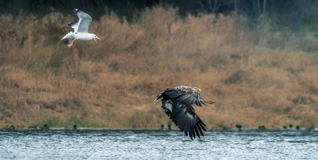 Fot: Paweł Jabłoński / Źródło: fb / Gmina Wieliszew