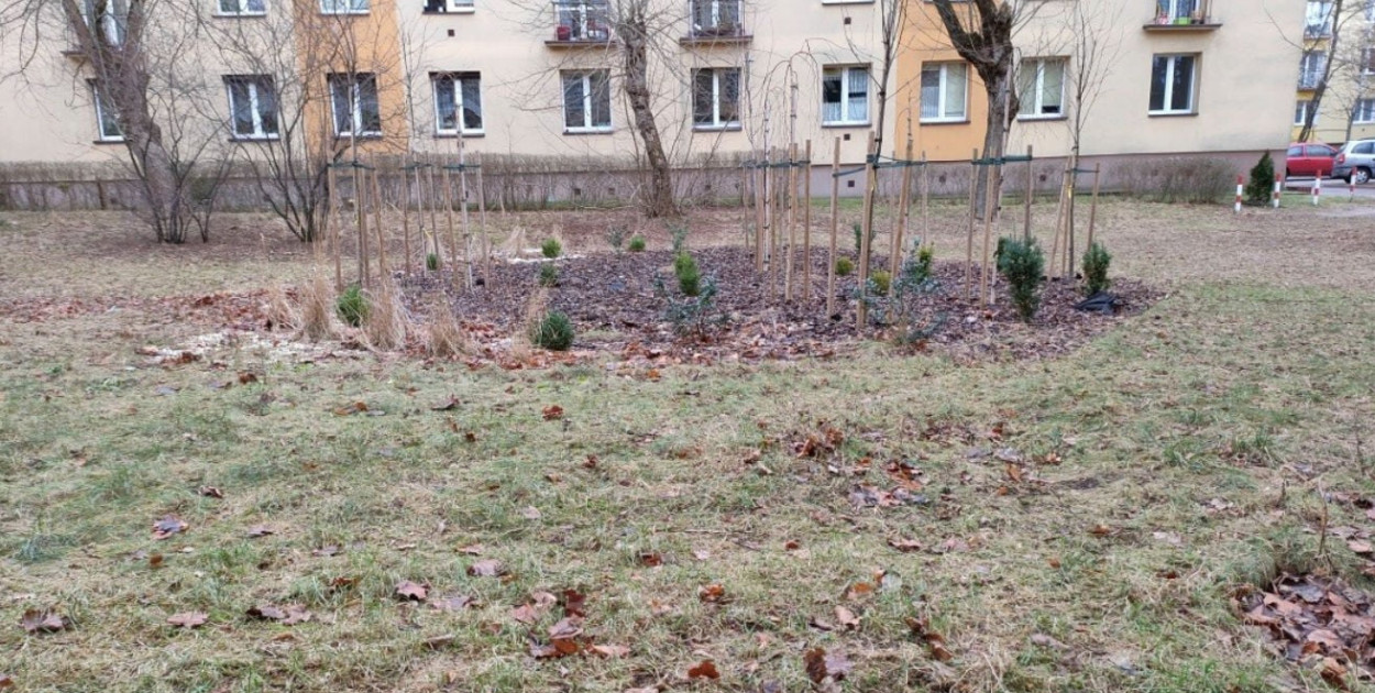 Miejsce prac agrotechnicznych pod zaprojektowaną rabatę na os. Bukowiec A. Fot. UM Legionowo