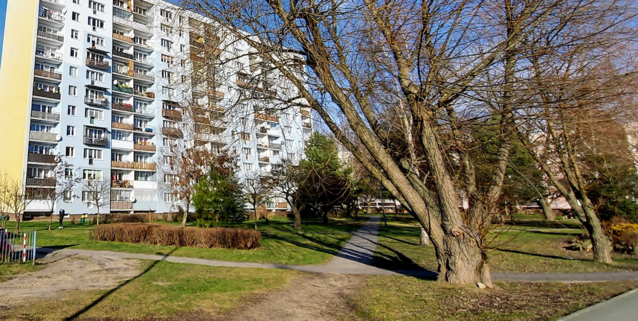 Na tej działce ma powstać nowy park w Legionowie. Fot. arch. Legio24.pl