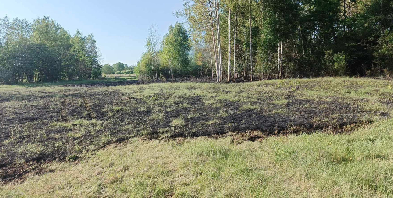 Pożar trawy w Krubinie. Fot. Ochotnicza Straż Pożarna w Krubinie