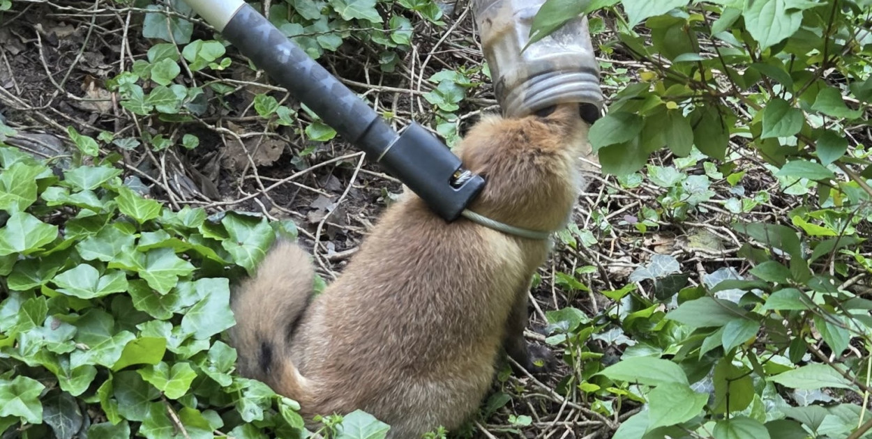 fot. OSP Kąty Węgierskie