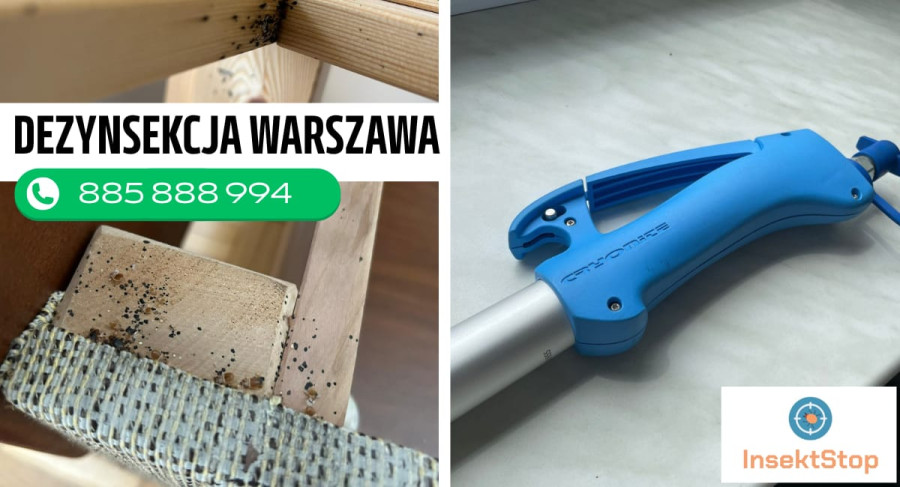 dezynsekcja Warszawa