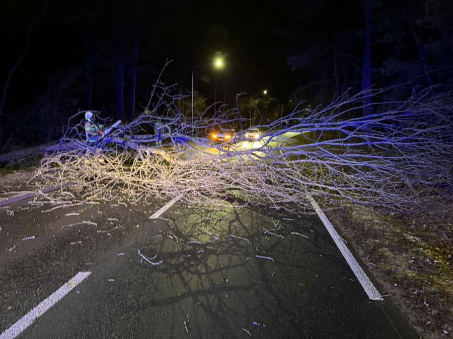 Powalone drzewo w Komornicy. Fot. fb / Ochotnicza Straż Pożarna w Wieliszewie