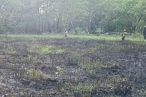 Pożar trawy przy Parkowej w Jabłonnie-2419