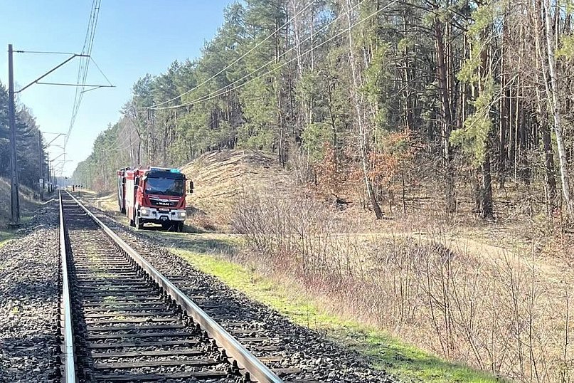 Pożar lasu w Wólce Radzymińskiej