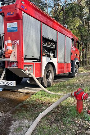 Pożar lasu w Białobrzegach-2621