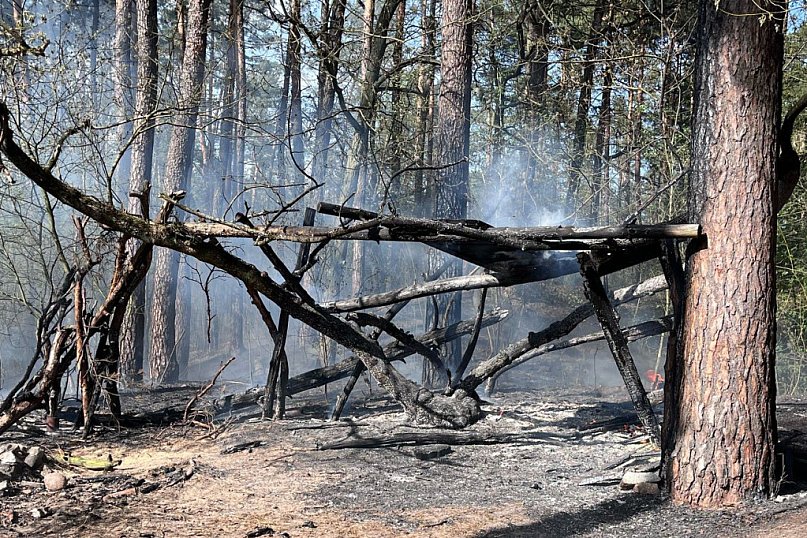 Pożar lasu w Białobrzegach