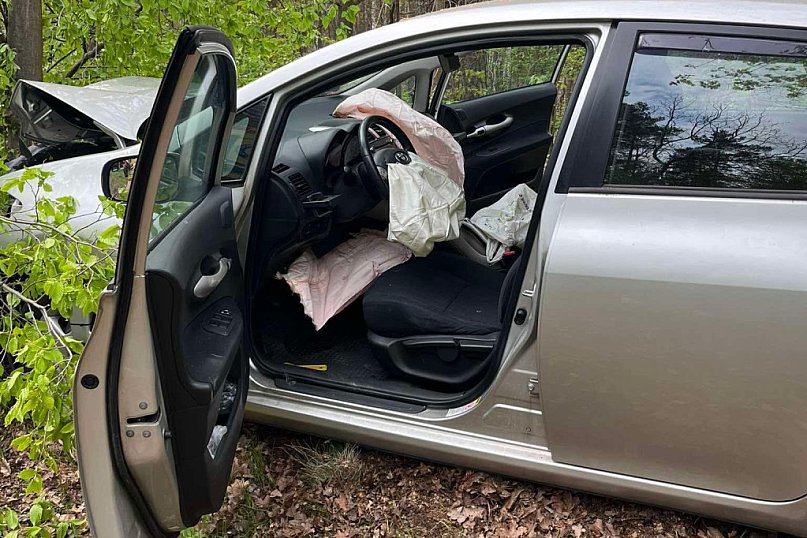 Stanisławów Pierwszy: Auto uderzyło w drzewo