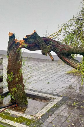 Trzynaście interwencji związanych z burzą-2676