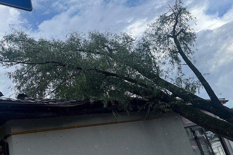 Trzynaście interwencji związanych z burzą