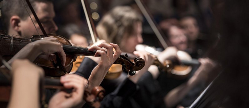 Festiwal Muzyki Klasycznej w Nieporęcie