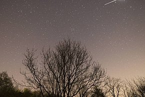 Od połowy kwietnia można obserwować wiosenne roje meteorów, m.in Lirydy-127960