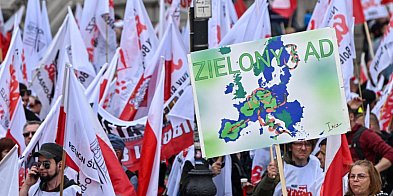 Region: Marsz przeciwko "Zielonemu Ładowi" prze...-128629