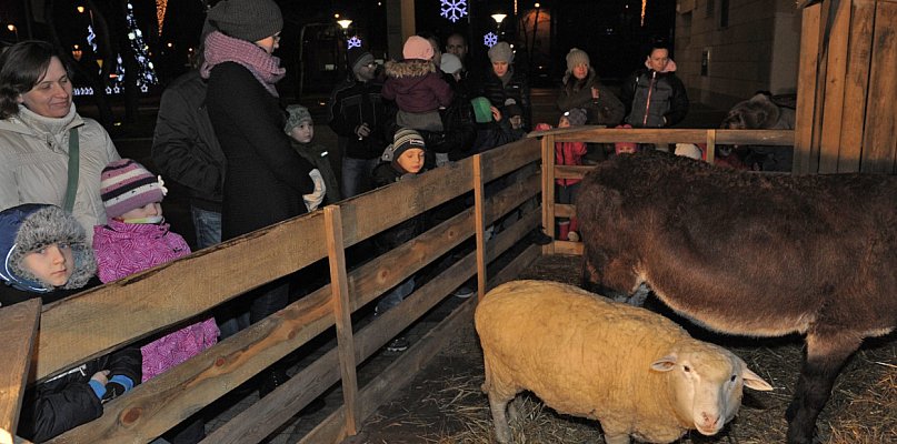 Legionowo: Wigilia Miejska już w niedzielę. Żywa szopka przy ratuszu - 134027