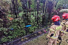 Michałów-Reginów: Pożar tui przy Warszawskiej. Jedna osoba poszkodowana-136208