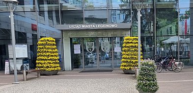 Legionowo: Ratusz czynny aż do 19:00. Kiedy i z jakiego powodu?-137463