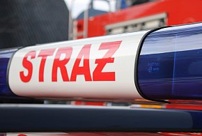 Pożar peugeota przy zaporze w Dębem. Auto spłonęło całkowicie-138308