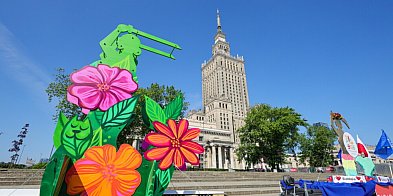 Warszawa: Koncert Chylińskiej na Białołęce-138370