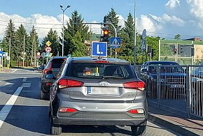 Egzamin na prawo jazdy będzie inny. Od 1 lipca nowe zasady-138795