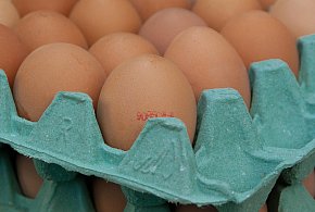Salmonella na jajach znanej marki. Nie jedz, jeśli masz je w lodówce!-138984