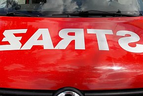 Jabłonna: Pożar dostawczaka iveco. Interweniowali świadkowie-139203