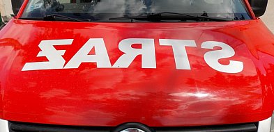 Jabłonna: Pożar dostawczaka iveco. Interweniowali świadkowie-139203