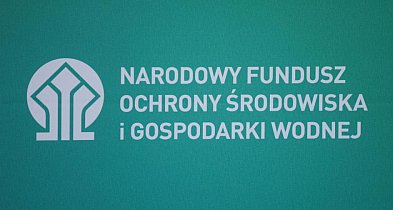 Od połowy lipca będzie można rozliczyć piece gazowe w "Czystym Powietrzu"-139257